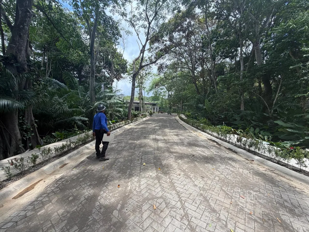 Camino de entrada y adoquinado · 25
