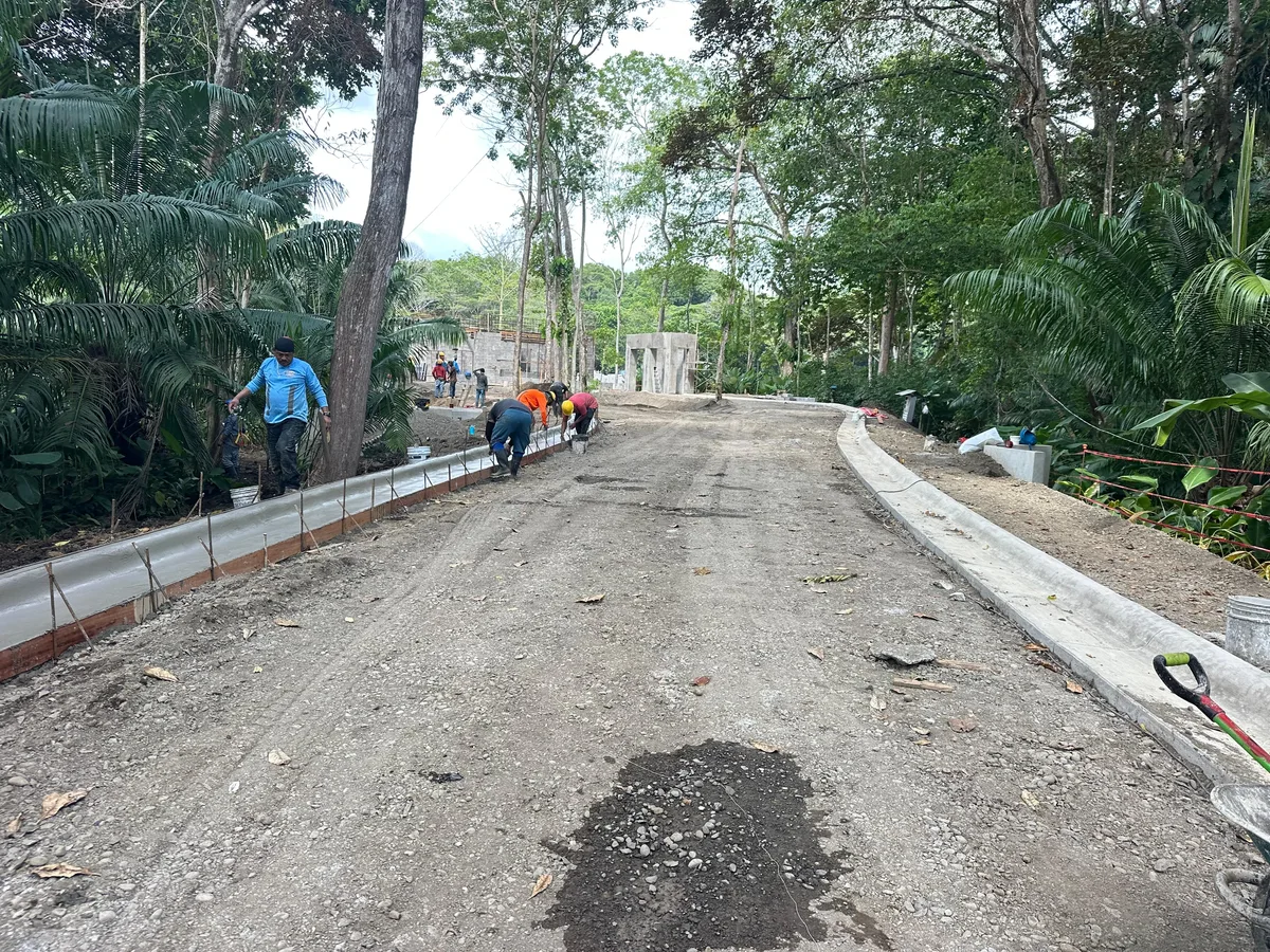 Camino de entrada y adoquinado · 23
