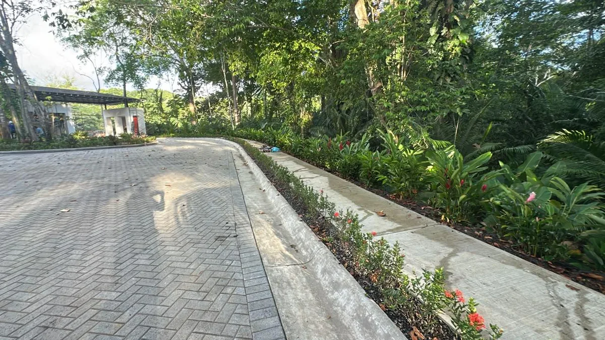 Camino de entrada y adoquinado · 30